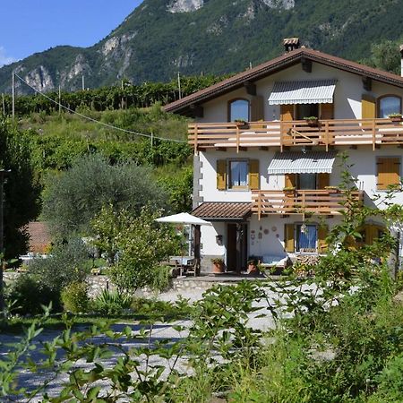 알라 Ca Ulivi B&B 외부 사진