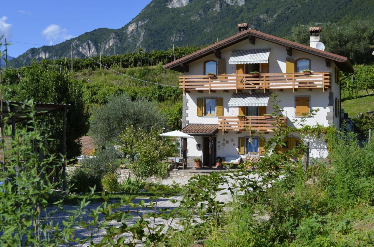 알라 Ca Ulivi B&B 외부 사진