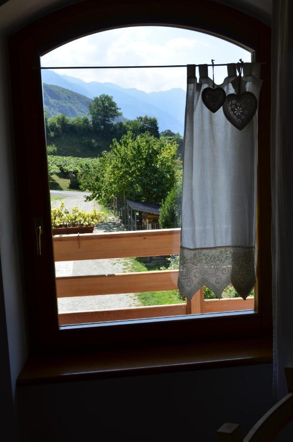 알라 Ca Ulivi B&B 외부 사진