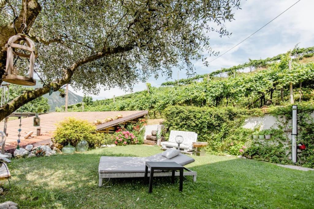 알라 Ca Ulivi B&B 외부 사진